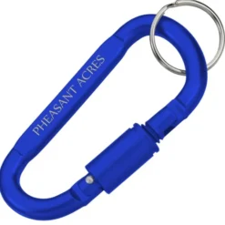 Carabiner Lock Keychain