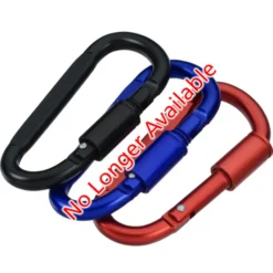 Carabiner Lock Keychain