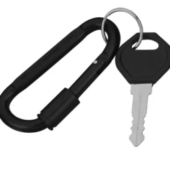Carabiner Lock Keychain