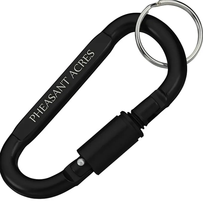Carabiner Lock Keychain