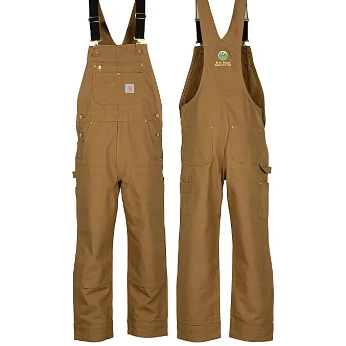 Carhartt Duck Unlined Bib Overalls