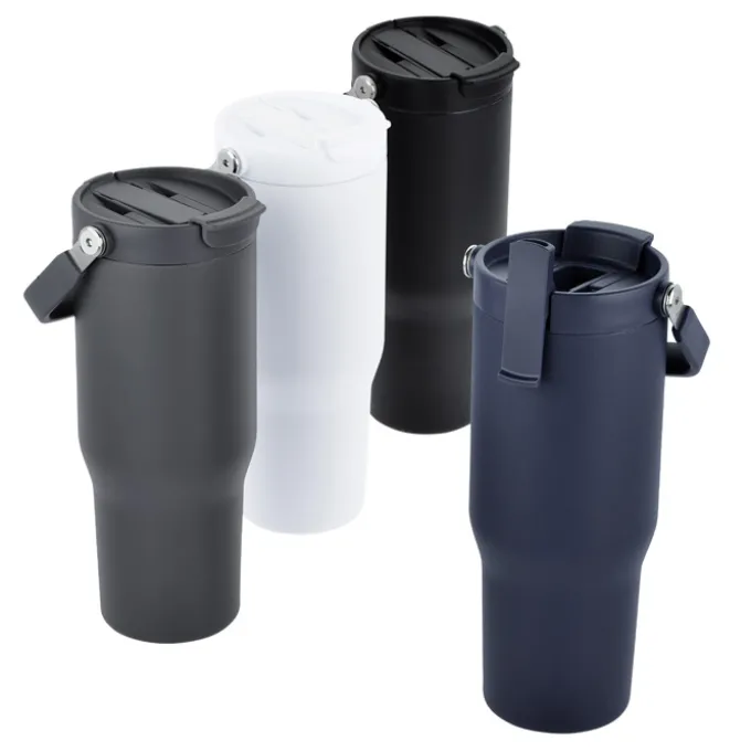 Carnival Sip or Swig Bottle - 30 oz