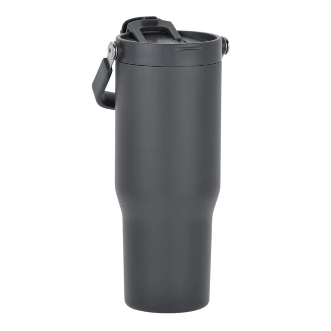 Carnival Sip or Swig Bottle - 30 oz