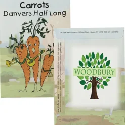 Cartoon Seed Packet - Carrot