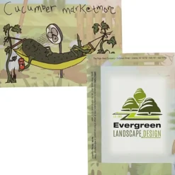 Cartoon Seed Packet - Cucumber