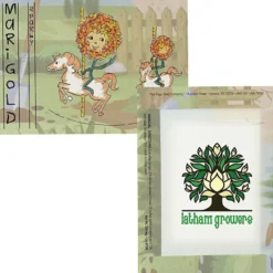 Cartoon Seed Packet - Marigold