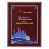 Celebration Wood Plaque - 9 inches