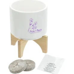 Ceramic Planter Set