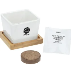 Ceramic Square Planter Set