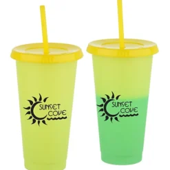 Chameleon Color Change Tumbler with Straw - 24 oz