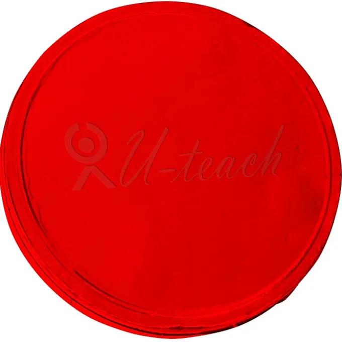 Chocolate Coin - .25 oz