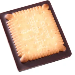 Chocolate Cookie - Rectangle