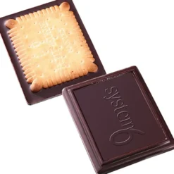 Chocolate Cookie - Rectangle
