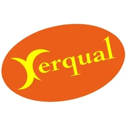 Chrome Color Sticker - Oval