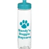 Clear Impact Halcyon Water Bottle - 24 oz