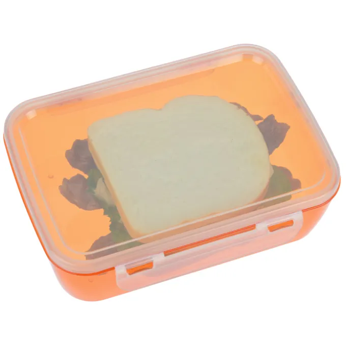 Clip Top Lunch Container