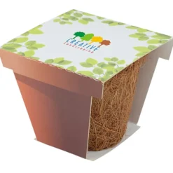 CoCo Starter Grow Kit