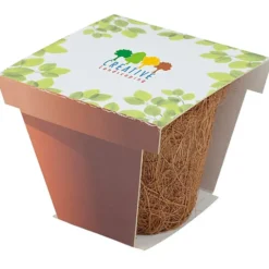 CoCo Starter Grow Kit