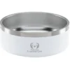 Color Accent Stainless Steel Pet Bowl
