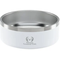 Color Accent Stainless Steel Pet Bowl