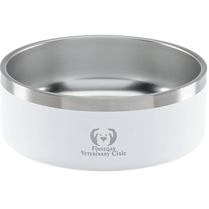 Color Accent Stainless Steel Pet Bowl