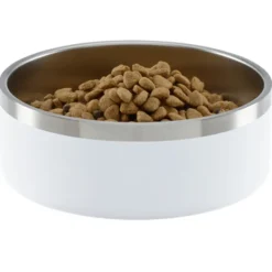 Color Accent Stainless Steel Pet Bowl