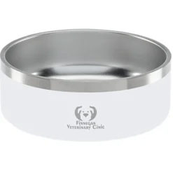 Color Accent Stainless Steel Pet Bowl