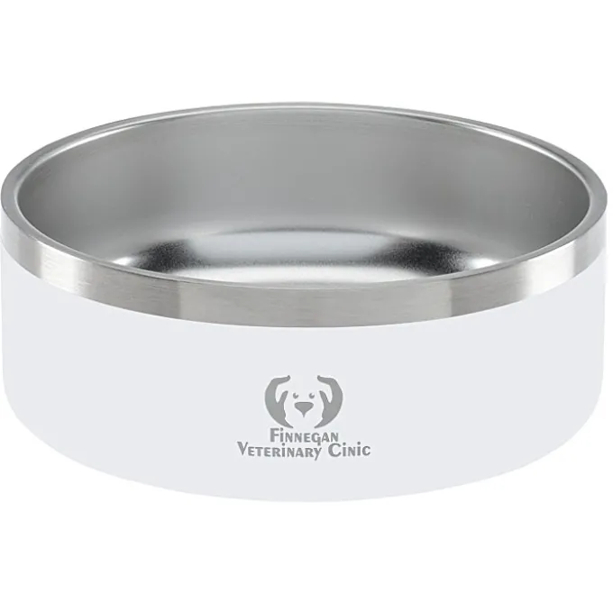 Color Accent Stainless Steel Pet Bowl