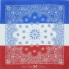 Colorblock Paisley Bandana - 22 inches x 22 inches