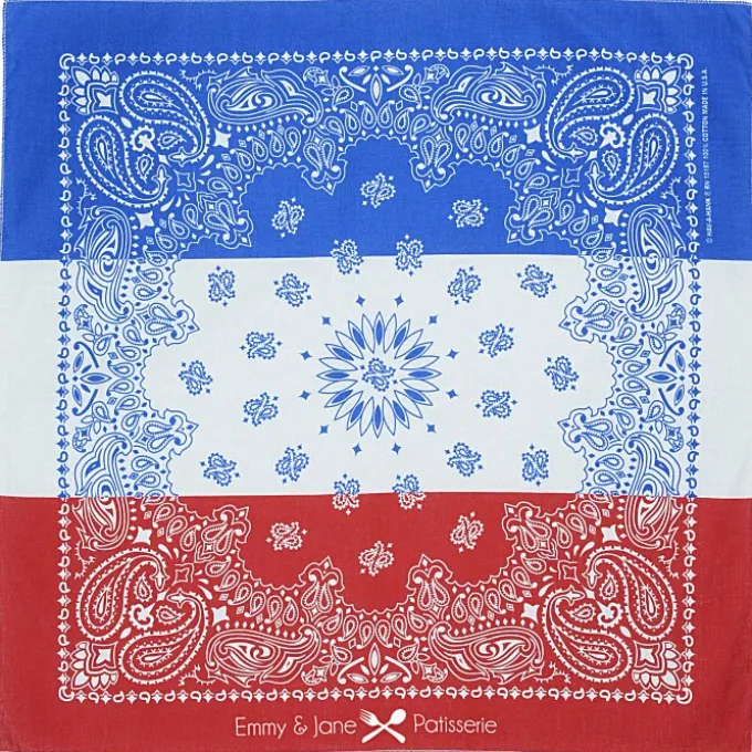 Colorblock Paisley Bandana - 22 inches x 22 inches