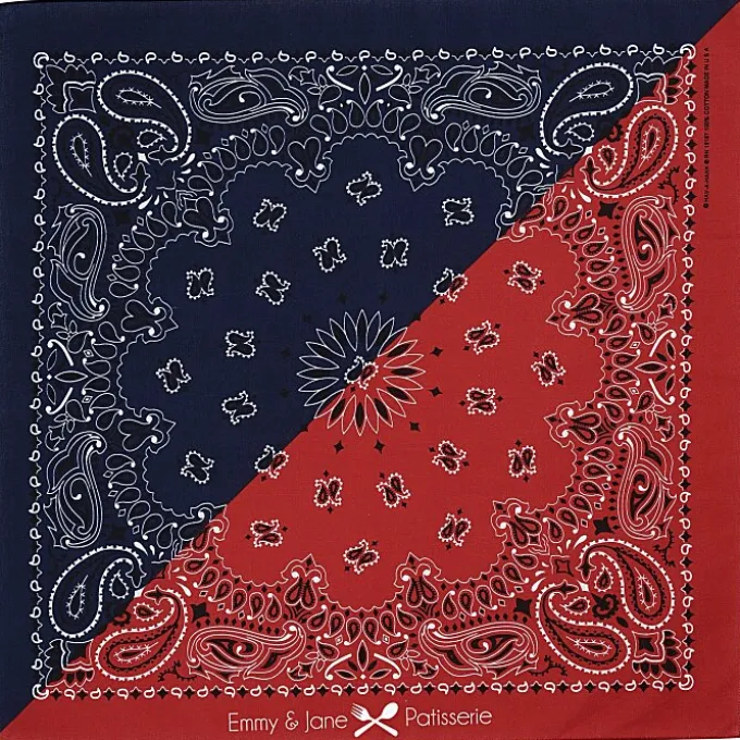 Colorblock Paisley Bandana - 22 inches x 22 inches