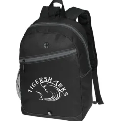 Color Zippin' Laptop Backpack