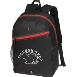Color Zippin' Laptop Backpack