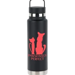Colton Vacuum Bottle - 20 oz