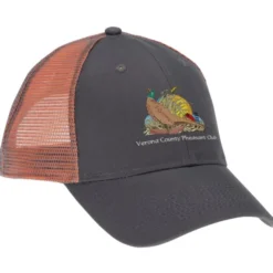 Contrast Color Mesh Back Cap