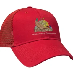 Contrast Color Mesh Back Cap