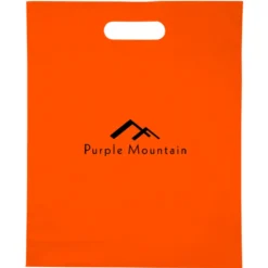 Convention Bag with Reinforced Handles - 15 inches x 12 inches