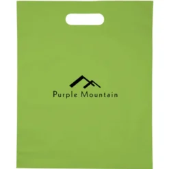 Convention Bag with Reinforced Handles - 15 inches x 12 inches