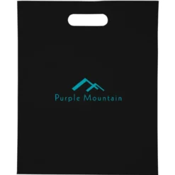 Convention Bag with Reinforced Handles - 15 inches x 12 inches