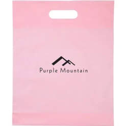 Convention Bag with Reinforced Handles - 15 inches x 12 inches