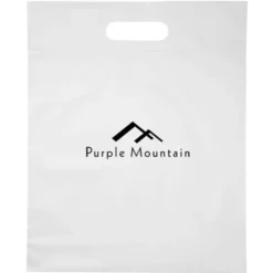 Convention Bag with Reinforced Handles - 15 inches x 12 inches