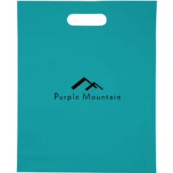 Convention Bag with Reinforced Handles - 15 inches x 12 inches