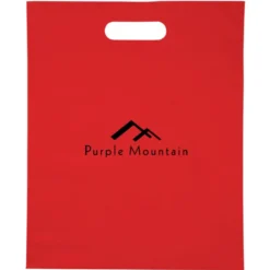 Convention Bag with Reinforced Handles - 15 inches x 12 inches