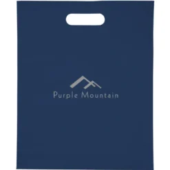 Convention Bag with Reinforced Handles - 15 inches x 12 inches