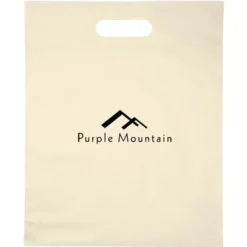 Convention Bag with Reinforced Handles - 15 inches x 12 inches