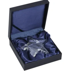 Crystal Star Paperweight