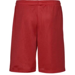 C2 Sport Mesh Shorts - 9 inches