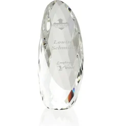 Dazzling Crystal Award