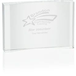 Distinguished Crystal Award