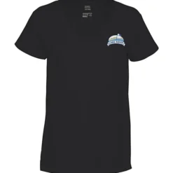 District Recycled V-Neck T-Shirt - Ladies' - Embroidered